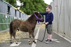 Grayson Calvert, five, with Doorpark Hamish, the miniature Shetland pony at the Royal Highland Show. Picture: John Devlin