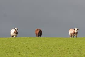 Farmers haven't been so impressed with Labour's lack of detail on funding 