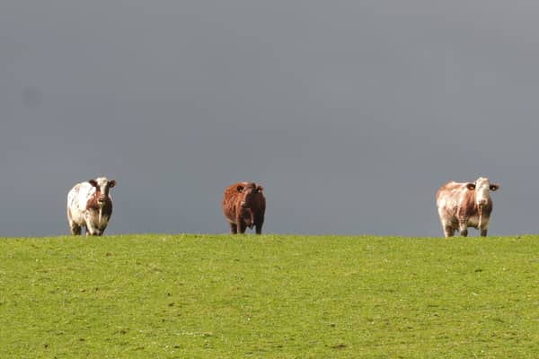 Farmers haven't been so impressed with Labour's lack of detail on funding 