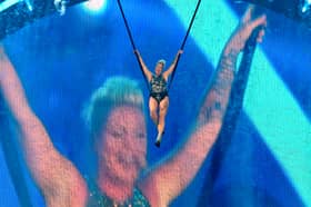 Pink performing during her Summer Carnival tour. 