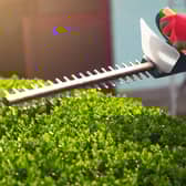 The 6 best cordless hedge trimmers 2021: Prepare your garden for spring with these long reach hedge trimmers