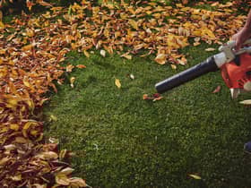 The best cordless leaf blowers 2021