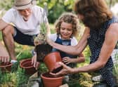 Essential gardening tools for spring 