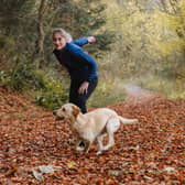 Puppy training classes: learn how to train your dog with this online programme