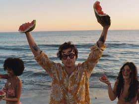 Harry Styles wearing Gucci sunglasses in Watermelon Sugar