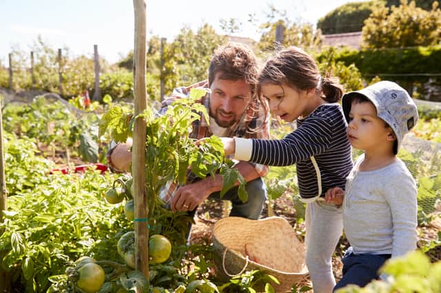 Essential Allotment Tools