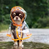 The best raincoats for staying dry and looking good this summer 