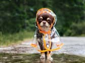 The best raincoats for staying dry and looking good this summer 
