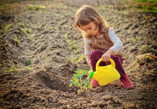 Children on holiday: 10 toys to get your children into gardening and helping with the backyard