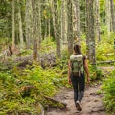 8 best women’s walking trousers: great hiking trousers from Fjallraven, Jack Wolfskin, Craghopper, and Arc’Teryx