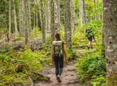 8 best women’s walking trousers: great hiking trousers from Fjallraven, Jack Wolfskin, Craghopper, and Arc’Teryx