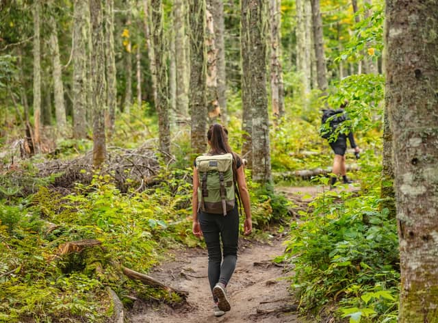 8 best women’s walking trousers: great hiking trousers from Fjallraven, Jack Wolfskin, Craghopper, and Arc’Teryx