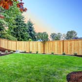 Essential tools to keep your garden tidy