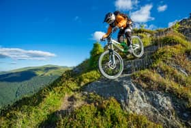 Voodoo, Vitus or Pinnacle: which is the best mountain bike for you? 