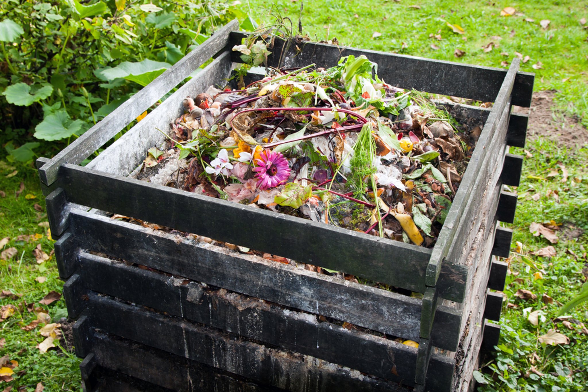 How To Use Compost Bins And Tumblers, Garden Compost Bin Argos