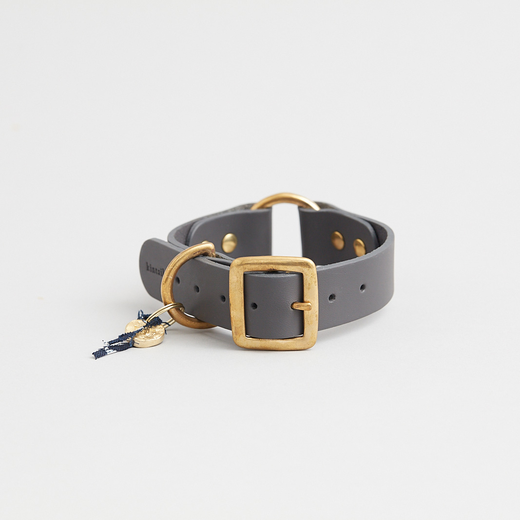 best dog collars uk