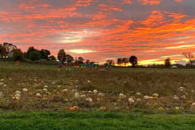 Arnprior Farm
