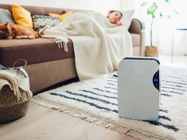 Dehumidifiers UK: prevent damp and mould with a reliable dehumidifier