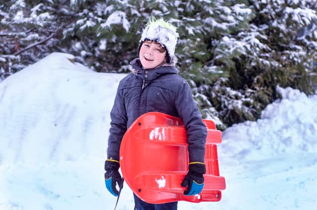 <p>Best sleds, sledges, and tobaggans</p>
