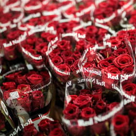The best places to buy beautiful Valentine’s Day flowers online for under £40 (Photo: Jack Taylor/Getty Images)