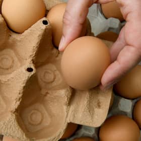 Free range eggs are a key source of food in the UK (image: AFP/Getty Images)