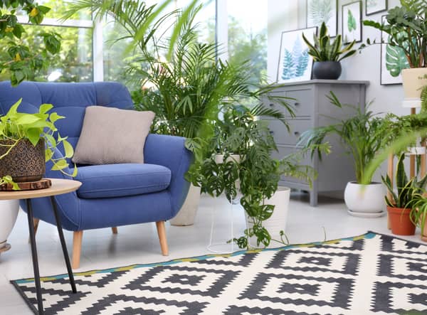 where to buy great living room chairs, from leather, deep seat, to mid century frames