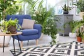 where to buy great living room chairs, from leather, deep seat, to mid century frames