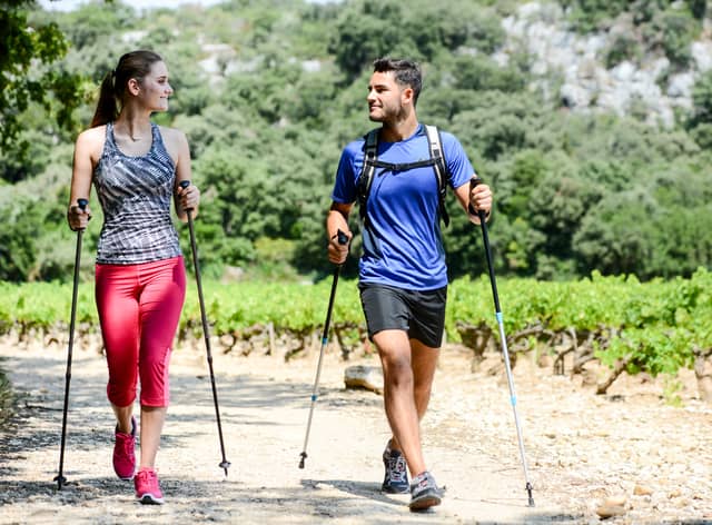 Best walking poles for hiking from Decathlon, Craghopper, Regatta
