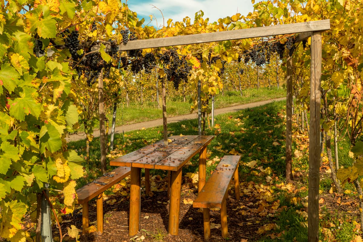 Best garden furniture covers UK 2022 for tables chairs sofas