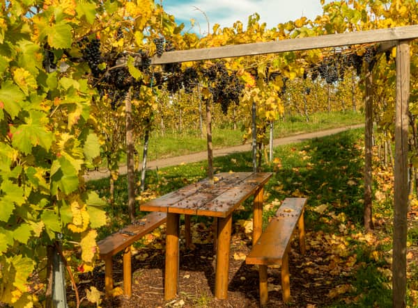 Best garden furniture covers UK 2022