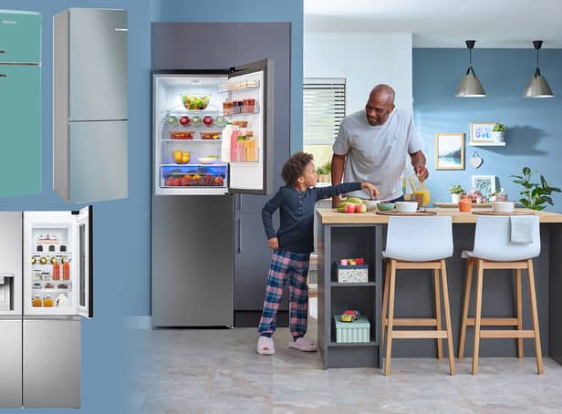 <p>Best fridge freezers UK 2022: integrated models and American style </p>