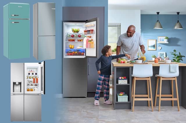 <p>Best fridge freezers UK 2022: integrated models and American style </p>