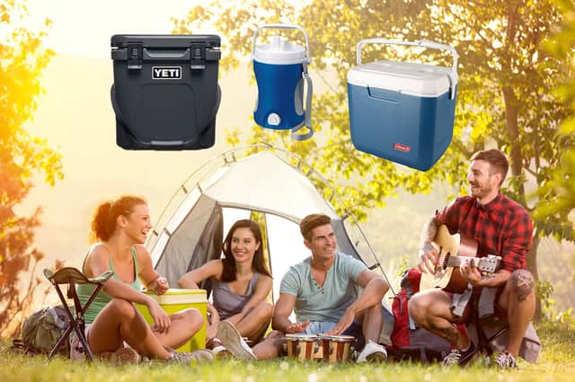 <p>Best coolers for camping: portable, electric and air coolers </p>