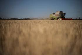 A combine harvest collects spring barley in Lincolnshire, as Britain has seen unseasonably warm temperatures forcing the earlier harvest for almost 40 years. (Photo by BEN STANSALL/AFP via Getty Images)