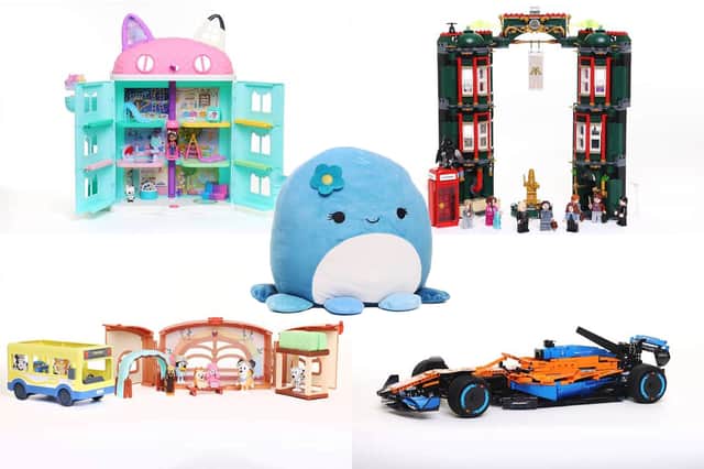 <p>Argos reveals top 15 toys for Christmas 2022, from Paw to Squishmallow</p>