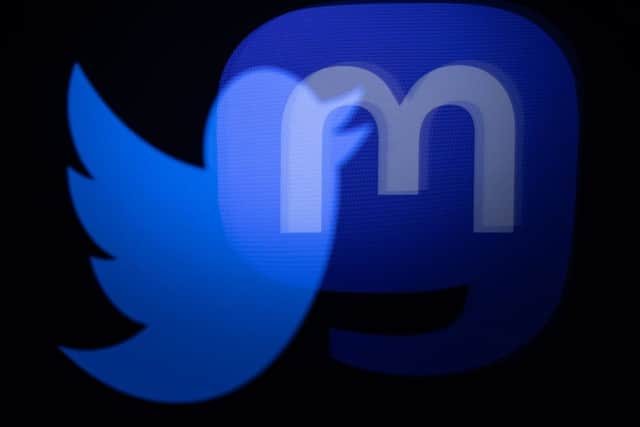 Mastodon is broadly similar to Twitter. Image: AFP/Getty 