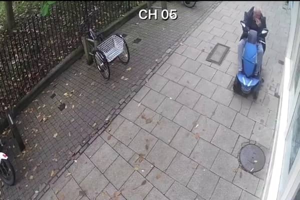 Screen Grab from footage of a pigeon crushed by a man in a scooter.