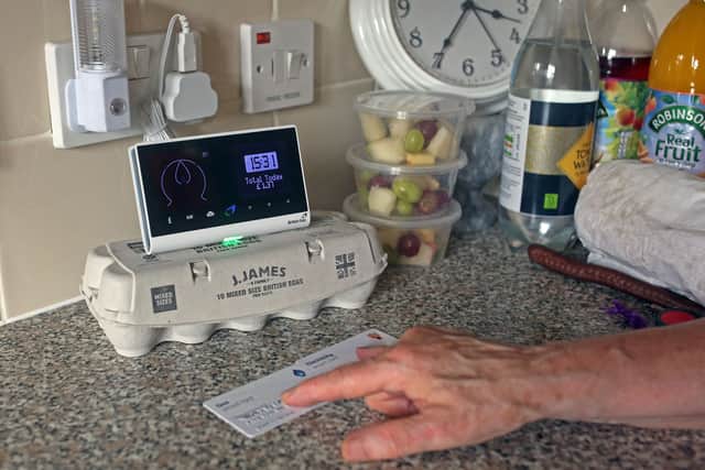Pensioner Diane Skidmore examines her smart meter.