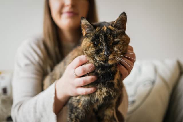 <p>Flossie, pictured here with new owner Vicki, has been named the world’s oldest cat by the Guiness Book of World Records.</p>