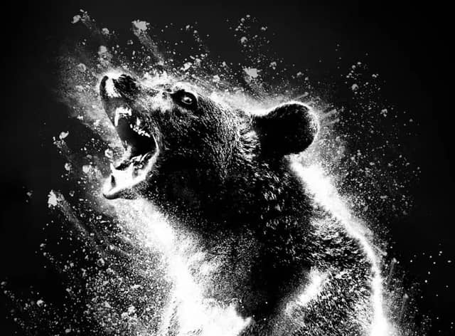 Cocaine Bear is sure to have everyone talking about it.