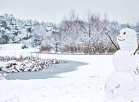 Bookies are in favour of a white Christmas this year