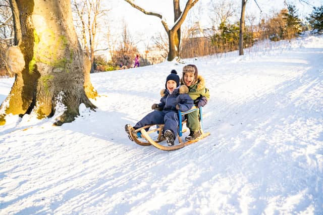 Best sleds, sledges, and toboggans for everyone to enjoy in the snow