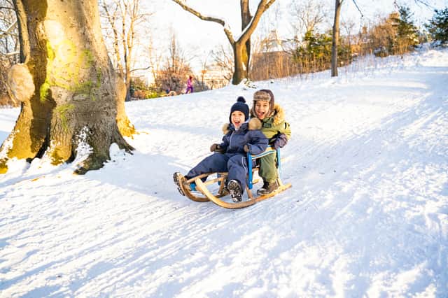 Best sleds, sledges, and toboggans for everyone to enjoy in the snow