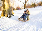 Best sleds, sledges, and toboggans for everyone to enjoy in the snow