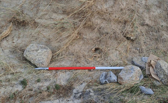 A human skull has been found during a beach clean on the Cornish coast. Photo: Cornwall Council.