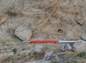 A human skull has been found during a beach clean on the Cornish coast. Photo: Cornwall Council.