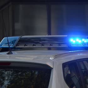 A man was detained after six children, alleged to have been born in England, were found living in an abandoned wine cellar in Austria. 