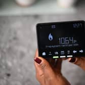 Energy regulator Ofgem has advised energy companies to suspend forced prepayment meter installations.