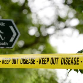 Avian flu have been spotted in mammals such as minks.