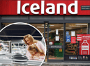 Iceland has teamed up with Currys and Birds Eye to hand out free freezers to low income families